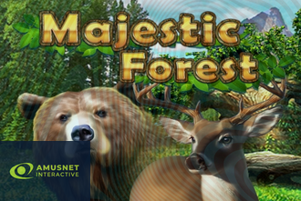Majestic Forest